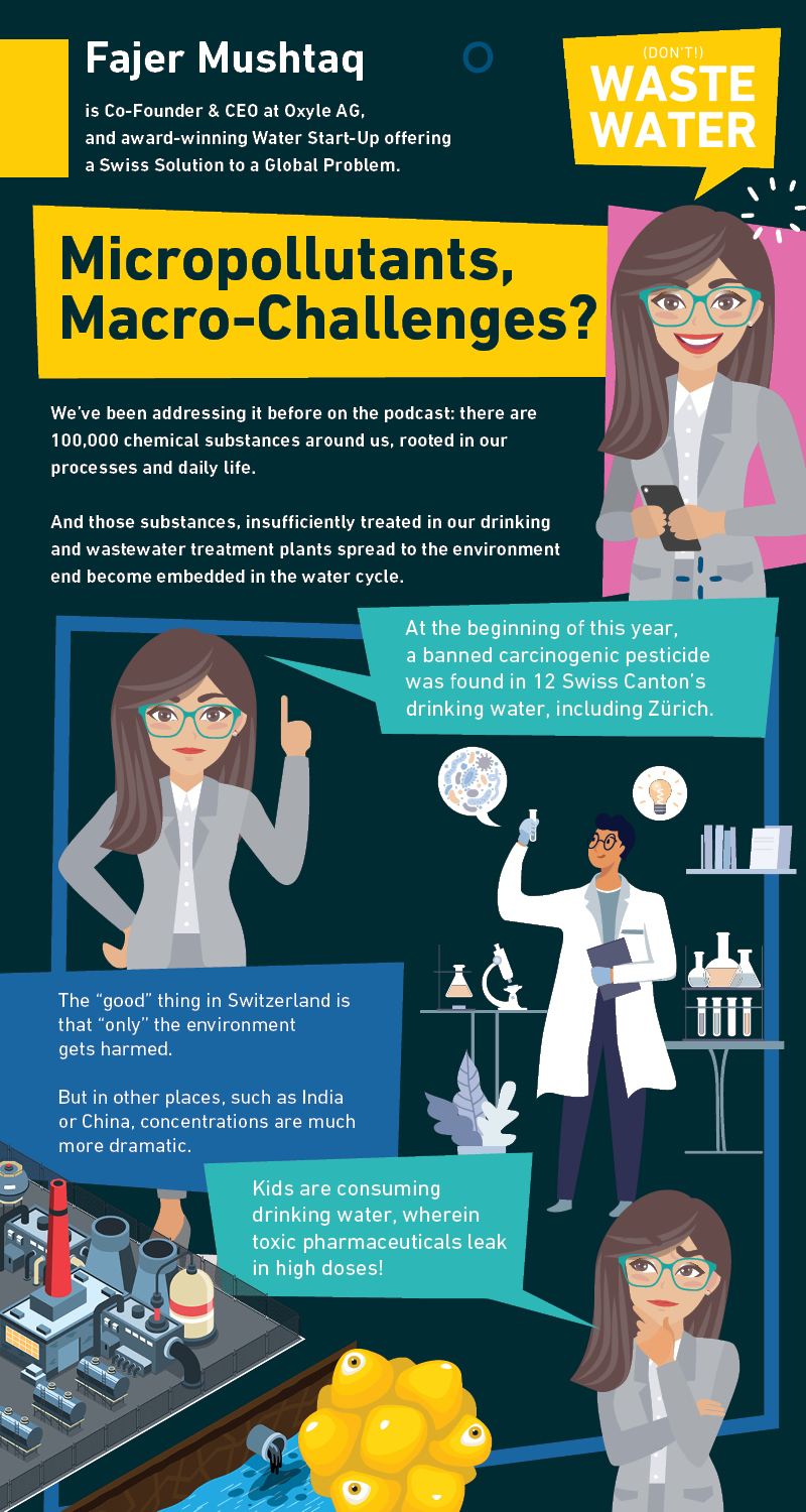 Fajer Mushtaq Infographic Page 1