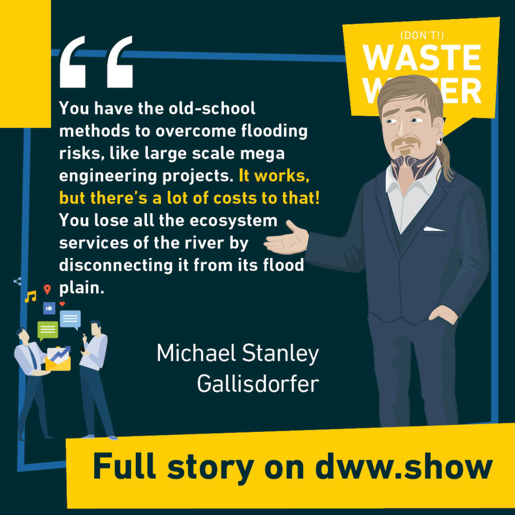 You have the old-school methods to overcome flooding risks, like large scale mega engineering projects. It works, but there's a lot of costs to that! You lose all the ecosystem services of the river by disconnecting it from its flood plain - A water quote by Michael Stanley Gallisdorfer