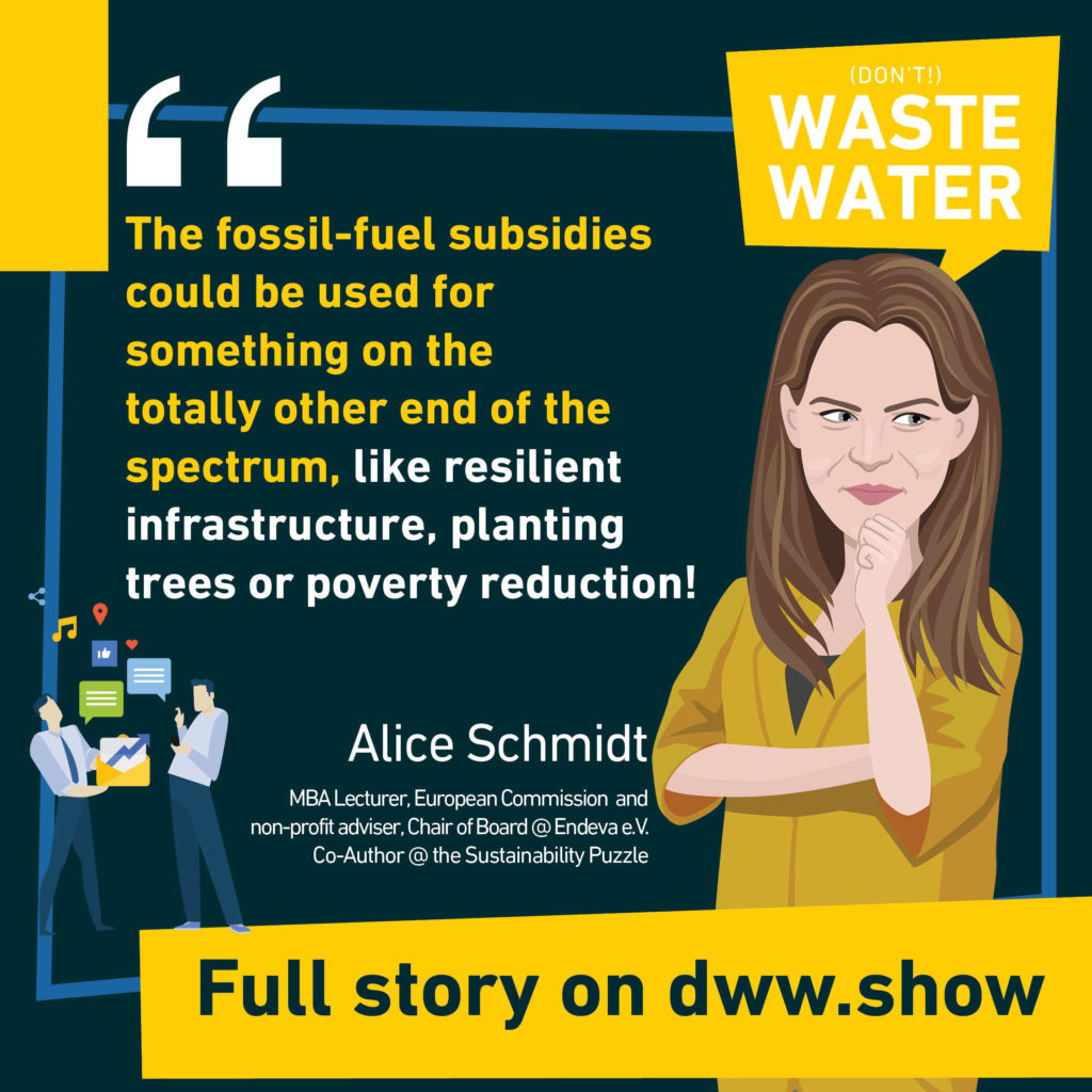 Fossil Fuel subsidies represented 420 Billion a year over the past decade. Can we do something more sustainable with this money? That's what Alice Schmidt asks.