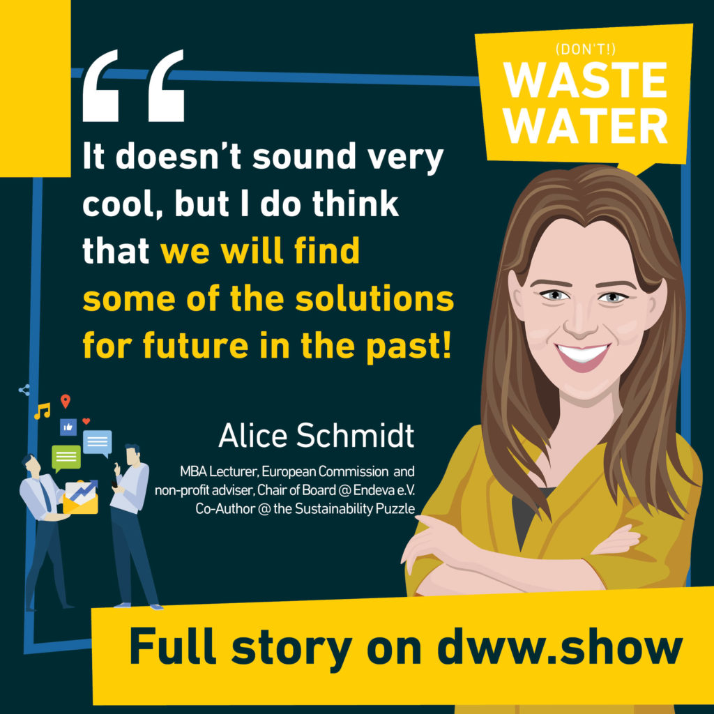 Some of the keys to the Sustainability Puzzle may well lie in the past - as Alice Schmidt says.
