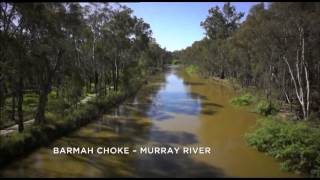 The Barmah Choke separates the Murray River in two