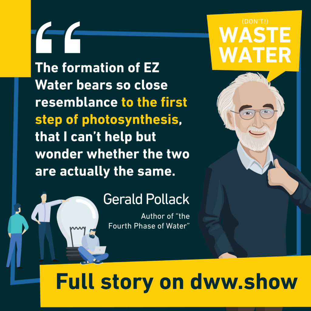 Is the formation of the 4th phase of Water like photosynthesis? That's a hypothesis for Gerald Pollack