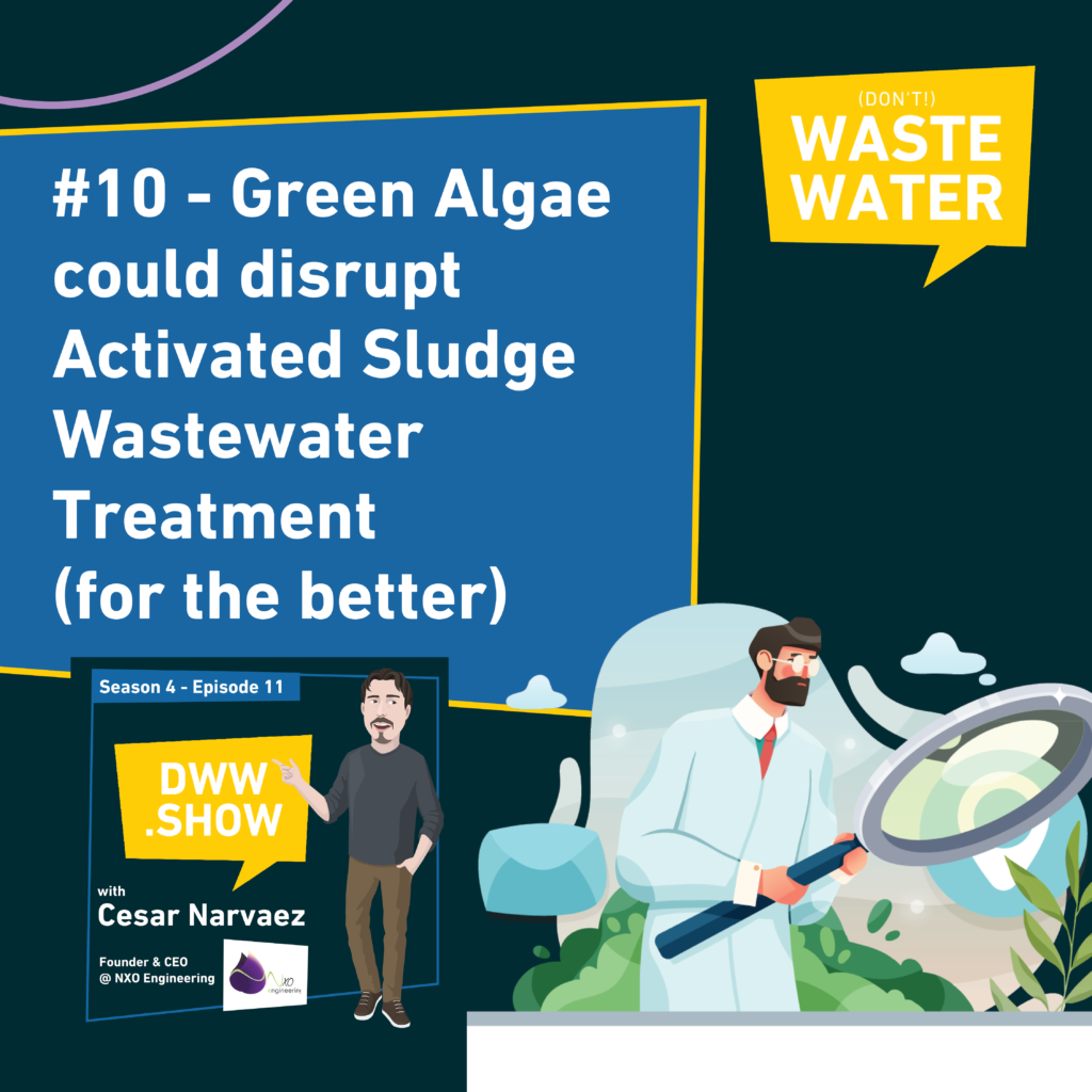 Water Industry Insights n°10 - Green Algae could disrupt activated sludge wastewater treatment (for the better)