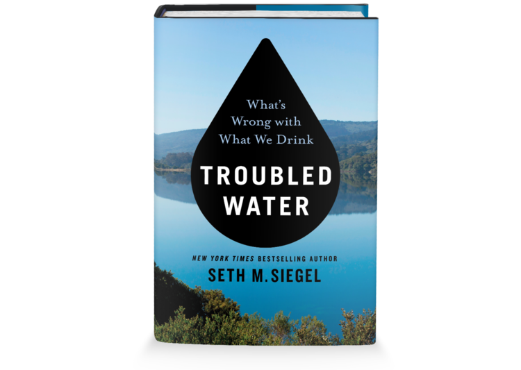 Troubled Water: My personal favorite book written by Seth Siegel